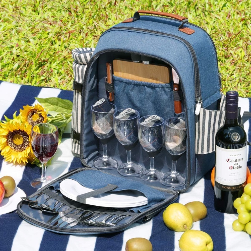 $150 NWT Sunflora Blue Stripe Insulated Picnic Backpack Pouch Blanket Plate wine